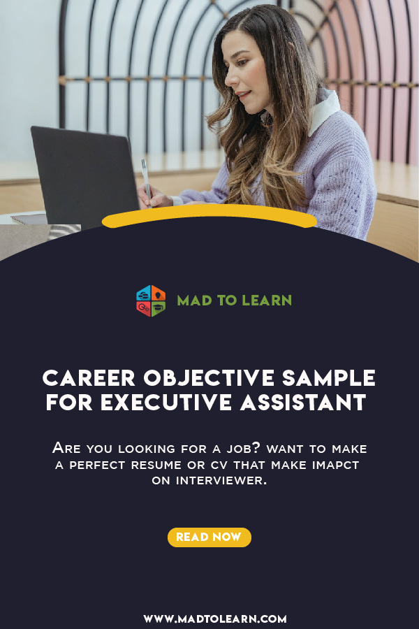 Catchy Executive Assistant Objectives Ideas