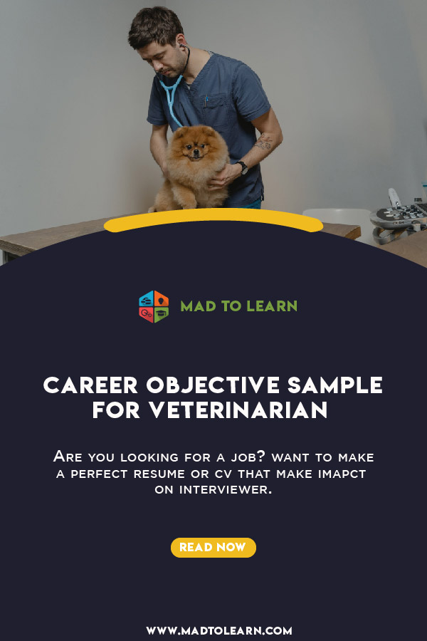 Creative Objective for Veterinary Resume ideas