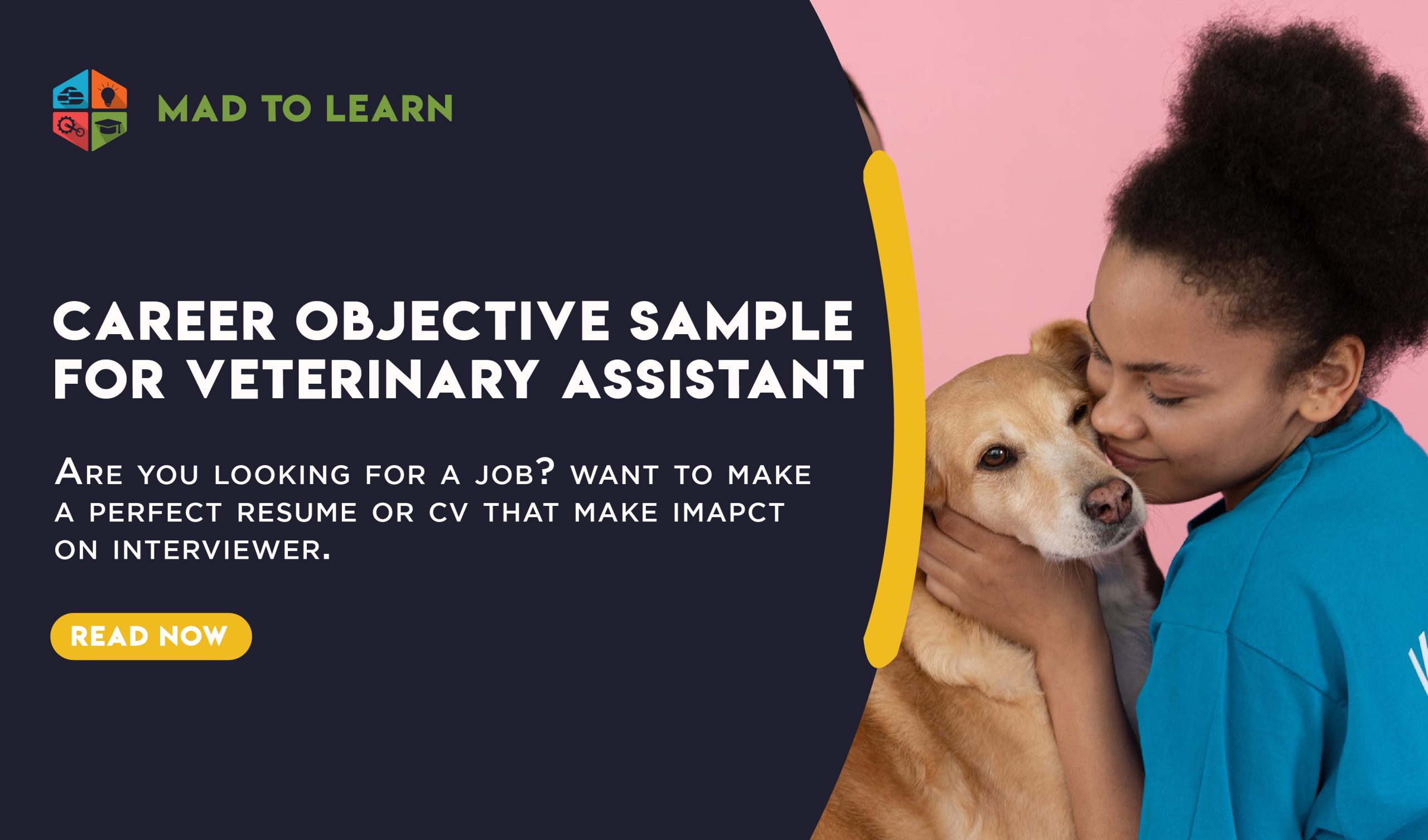 Best Veterinary assistant objective Ideas