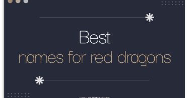 Names For Red Dragons